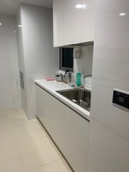 Eight Courtyards (D27), Condominium #205293111
